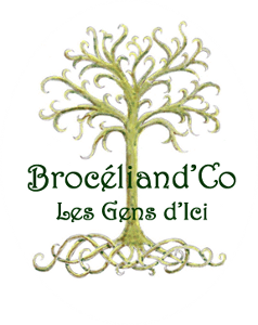logo-broceliandco-300px